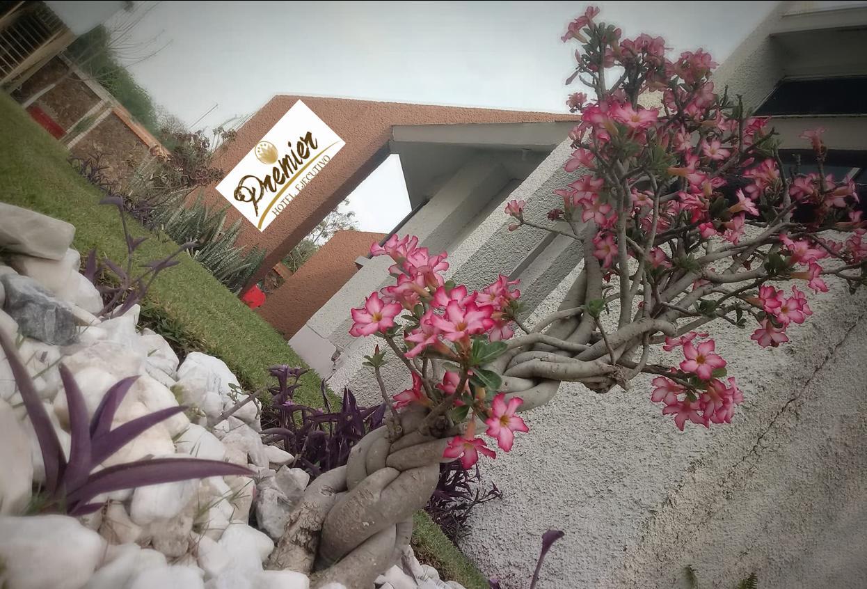 Hotel Premier ริโอแบร์เด ภายนอก รูปภาพ
